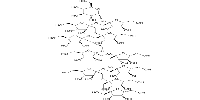 137405-36-8